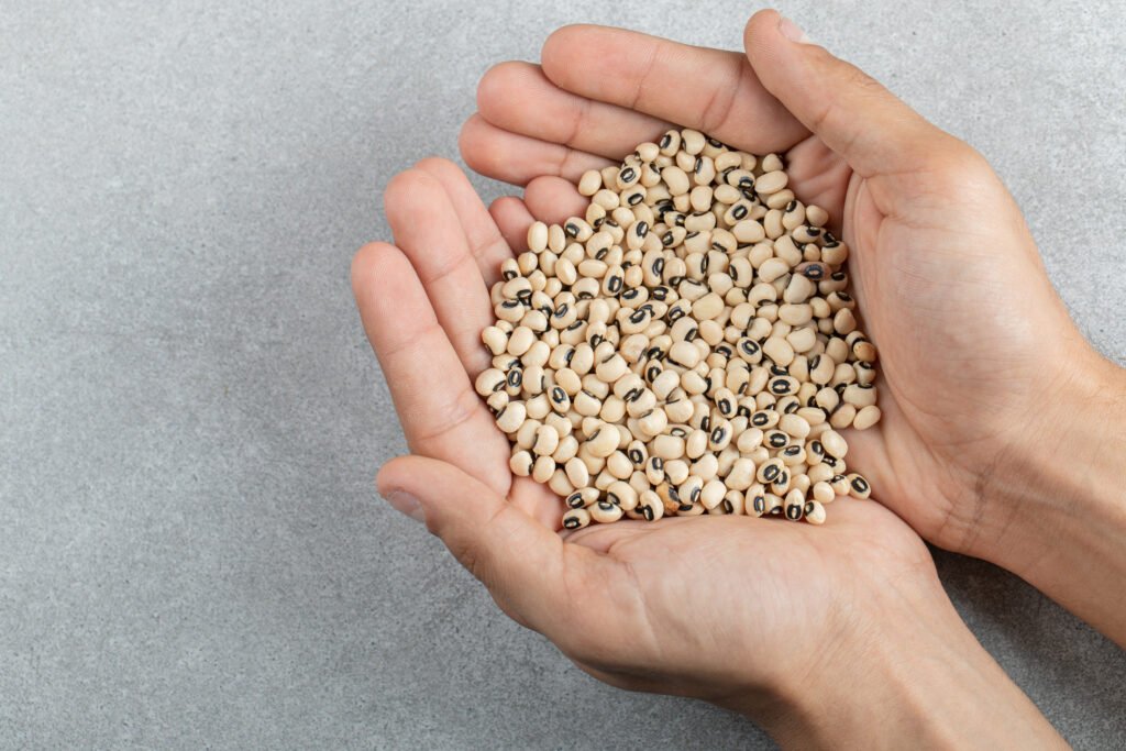 Hands holding many of raw corn grains on a gray background